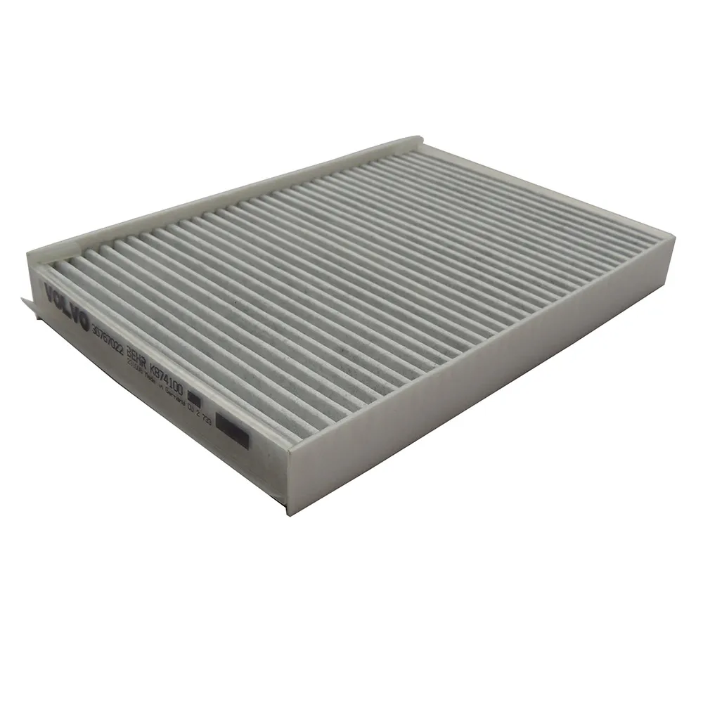 Gasoline Filter